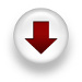 Download Icon